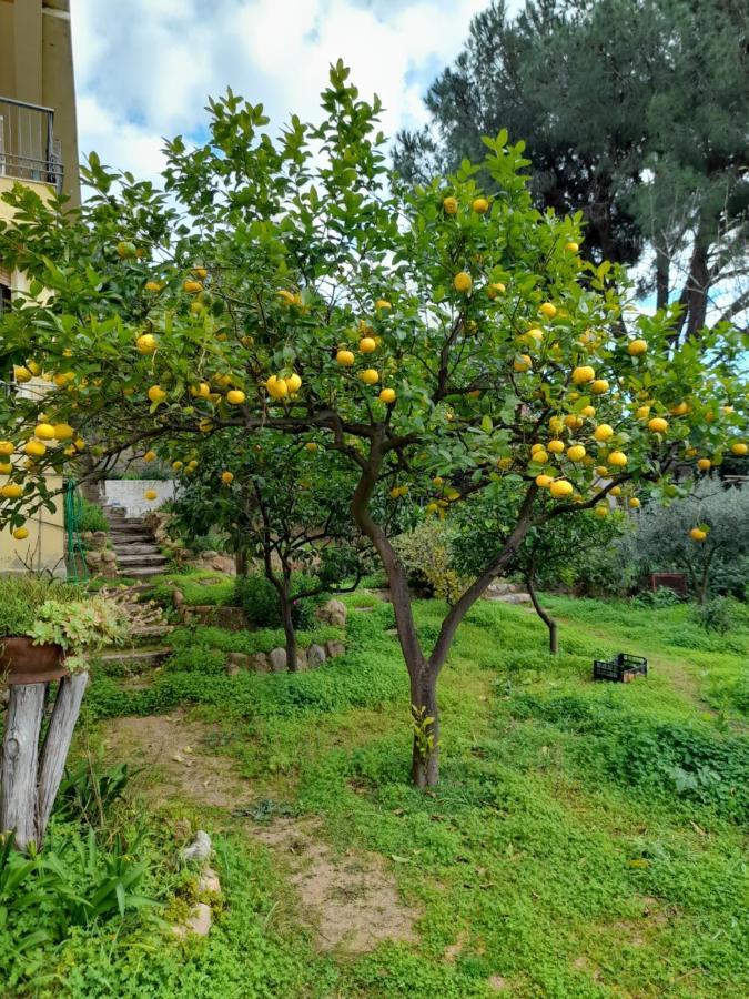 Invit Arti B&B Capoterra Exterior foto